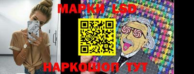 стаф Гай