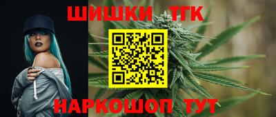 стаф Гай
