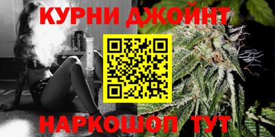 стаф Гай