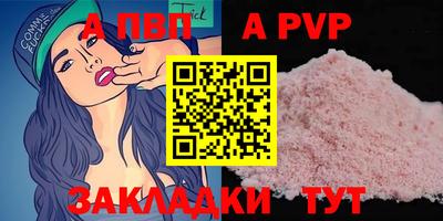 стаф Гай