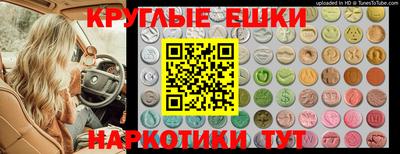 стаф Гай