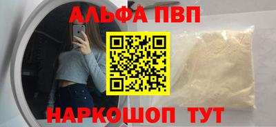 стаф Гай